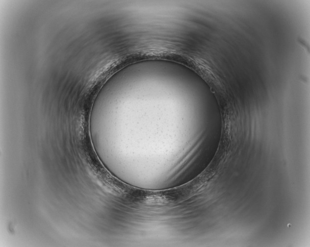 X0000099560591200805301543