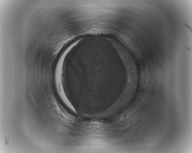 X0000099560592200805301543