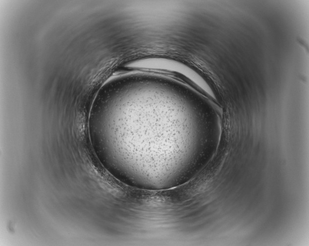 X0000099560593200805301543