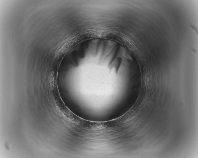 X0000099560594200805301543