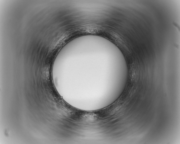 X0000099560595200805301543