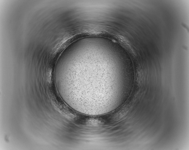 X0000099560596200805301543