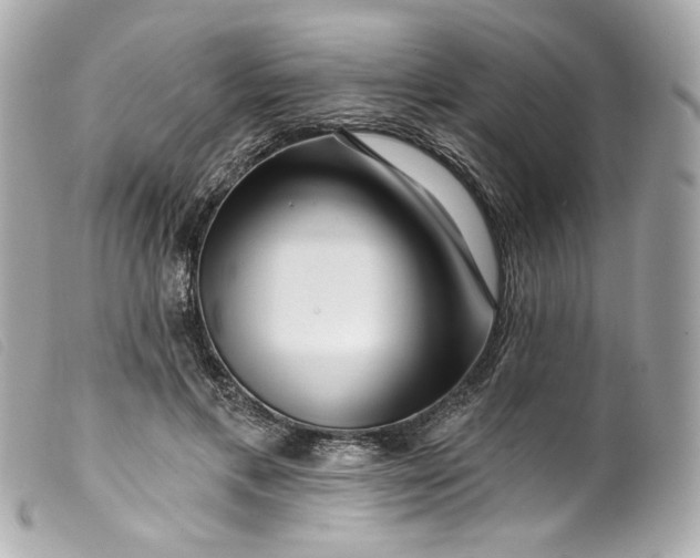 X0000099560597200805301543