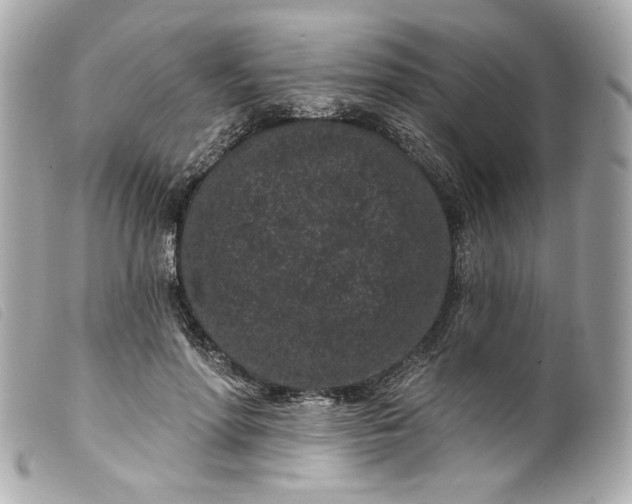 X0000099560598200805301543