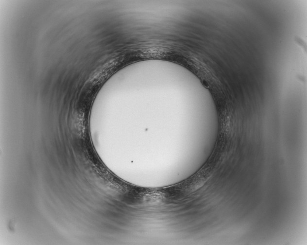 X0000099560599200805301543