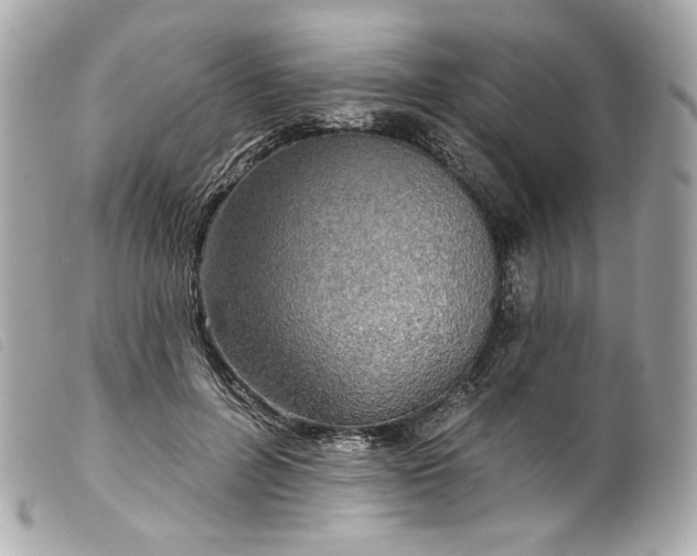 X0000099560600200805301543