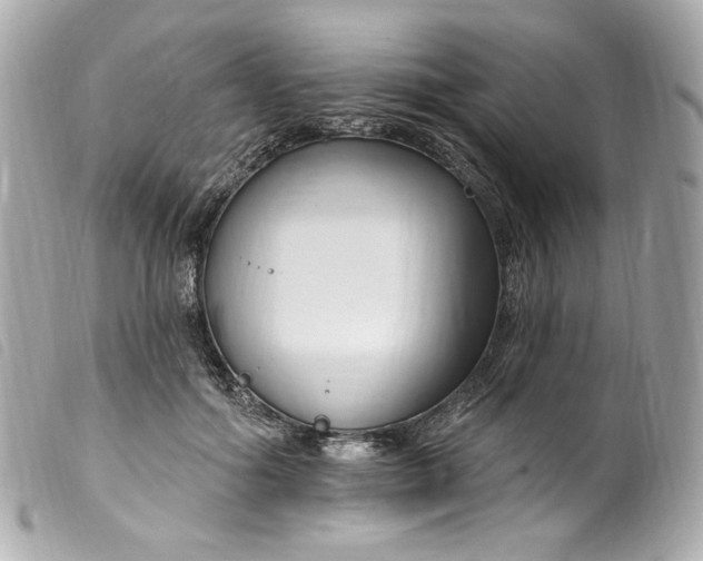 X0000099560602200805301543