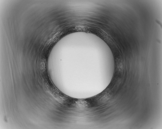 X0000099560603200805301543