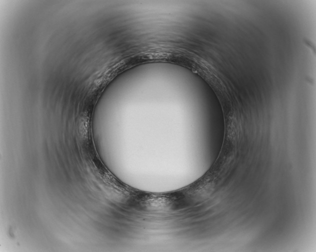 X0000099560604200805301543