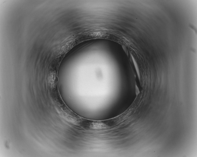 X0000099560605200805301543