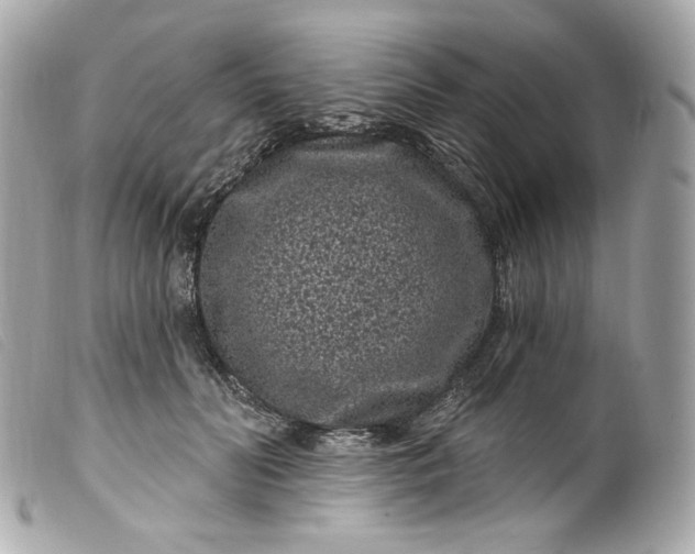 X0000099560606200805301543