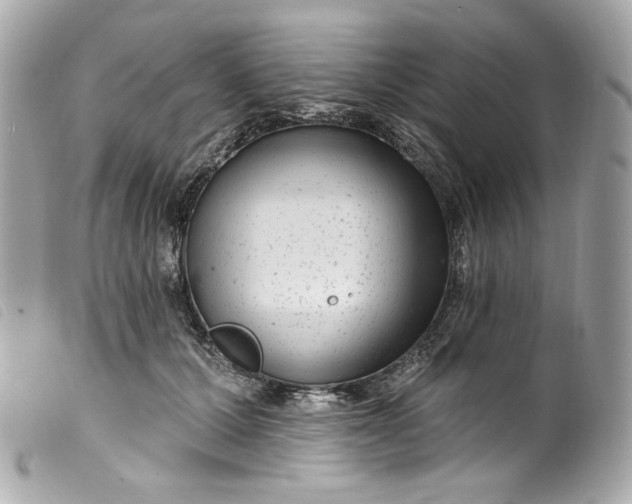 X0000099560607200805301543