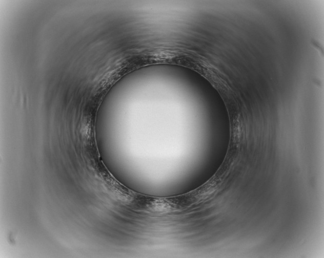 X0000099560608200805301543