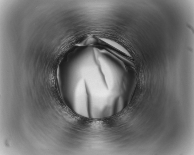 X0000099560609200805301543