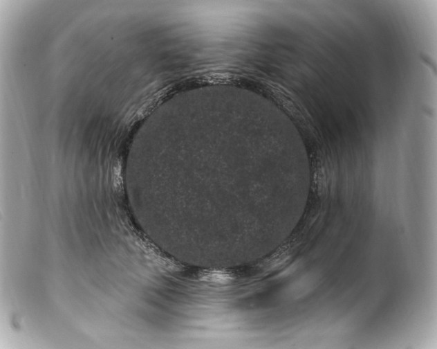 X0000099560610200805301543