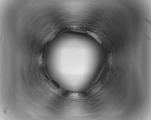 X0000099560611200805301543