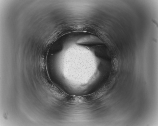 X0000099560612200805301543