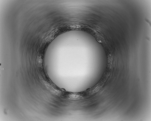 X0000099560614200805301543