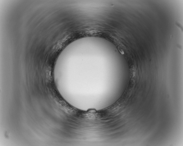 X0000099560615200805301543