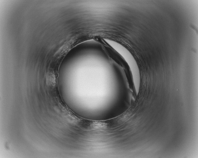 X0000099560617200805301543