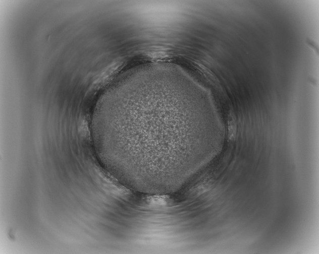 X0000099560618200805301543