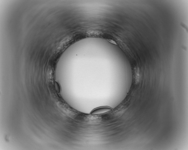 X0000099560619200805301542