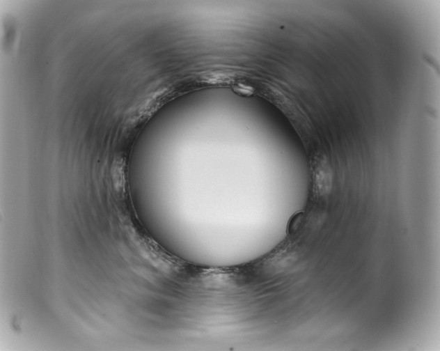 X0000099560620200805301542