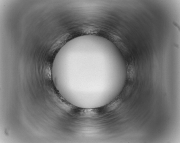 X0000099560622200805301542