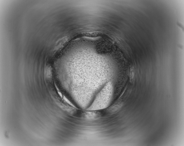 X0000099560623200805301542