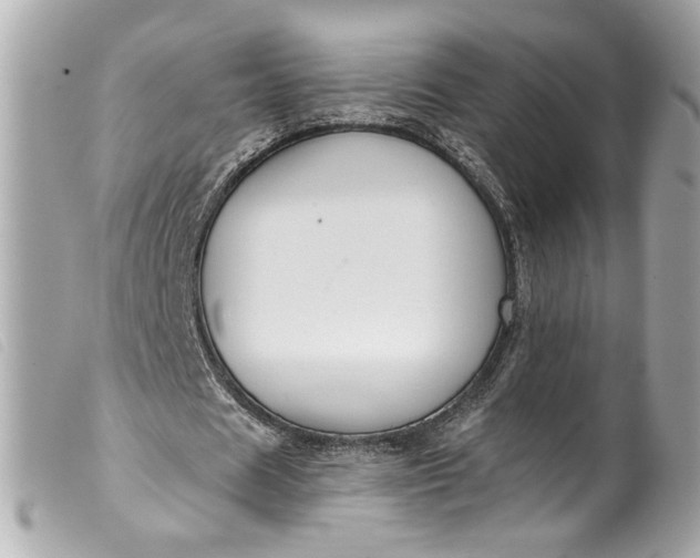 X0000099560625200805301542