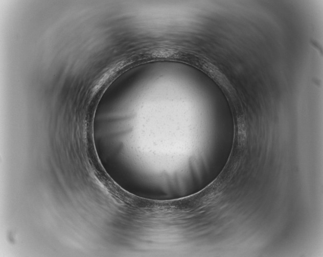 X0000099560626200805301542