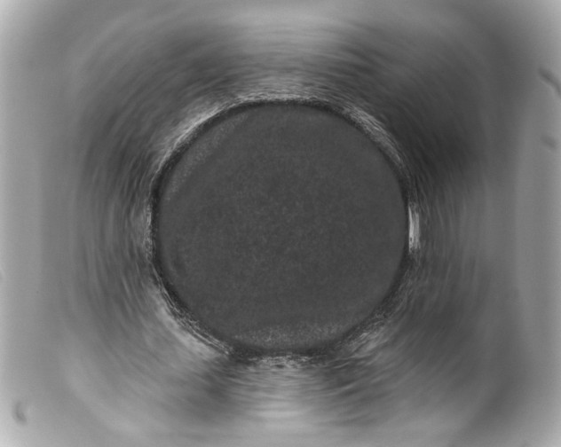 X0000099560627200805301542