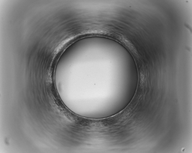 X0000099560628200805301542