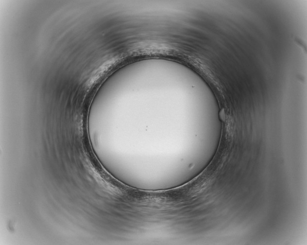 X0000099560629200805301542