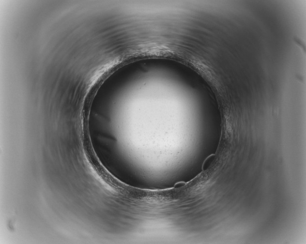 X0000099560630200805301542