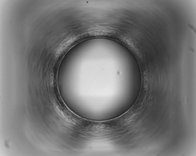 X0000099560631200805301542