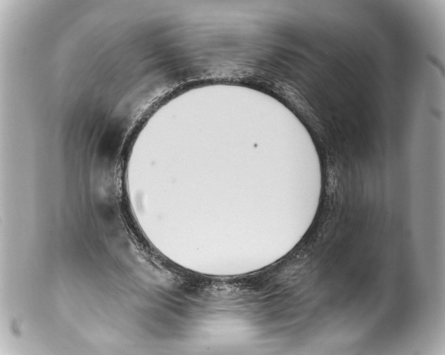 X0000099560632200805301542