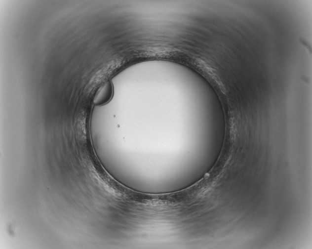 X0000099560633200805301542