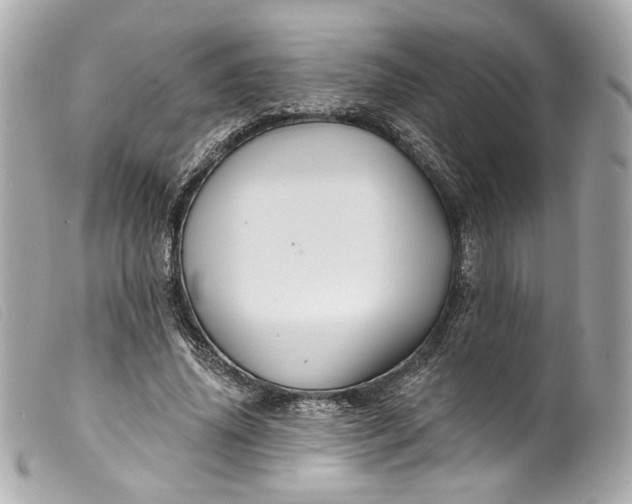 X0000099560636200805301542