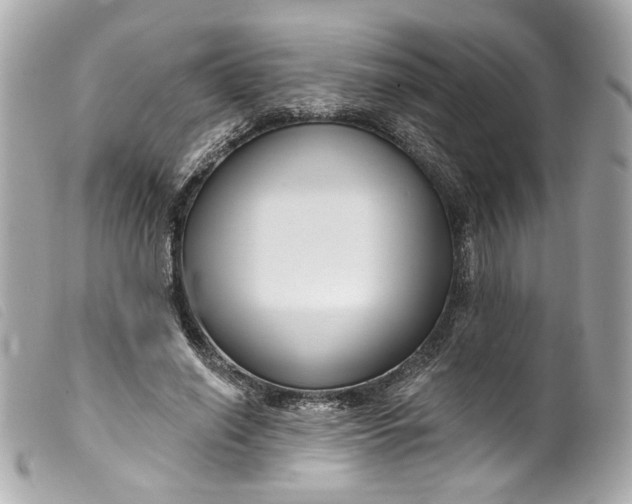 X0000099560638200805301542