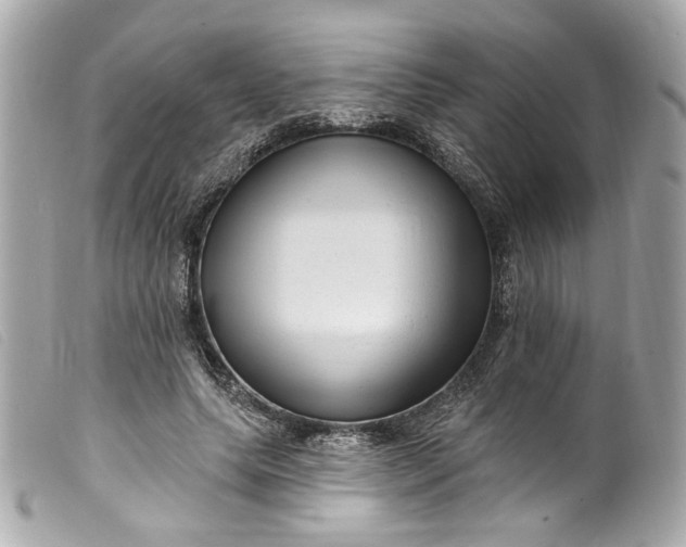 X0000099560639200805301542