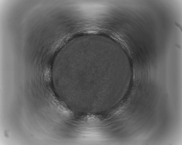 X0000099560641200805301542