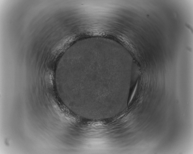 X0000099560643200805301542