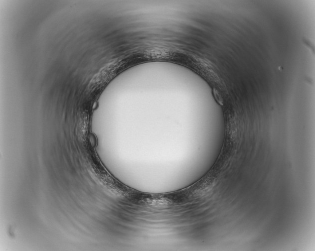 X0000099560645200805301542