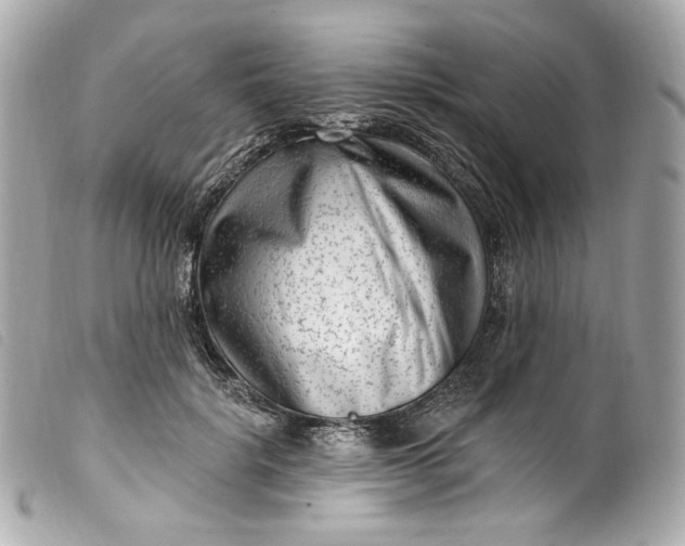 X0000099560652200805301542