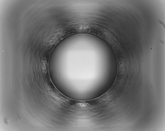 X0000099560654200805301542