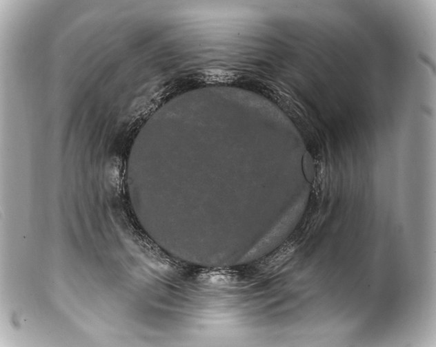 X0000099560655200805301542