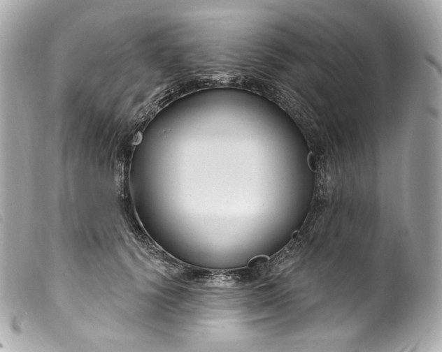 X0000099560656200805301542