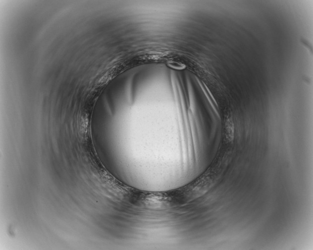 X0000099560657200805301542