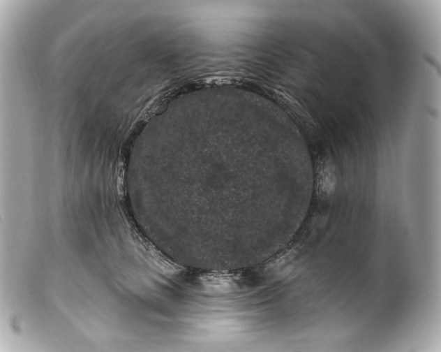 X0000099560661200805301542